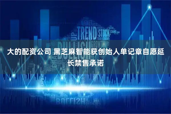 大的配资公司 黑芝麻智能获创始人单记章自愿延长禁售承诺